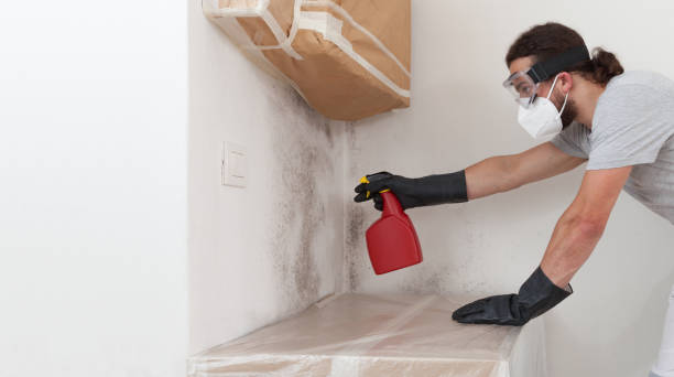 Professional Mold Testing technician working in West Point, NY