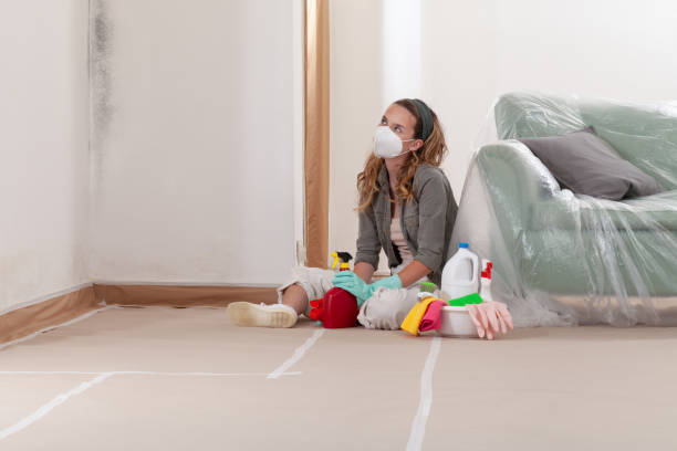 Reliable Mold Testing contractor in West Point, NY by WQB Mold Removal