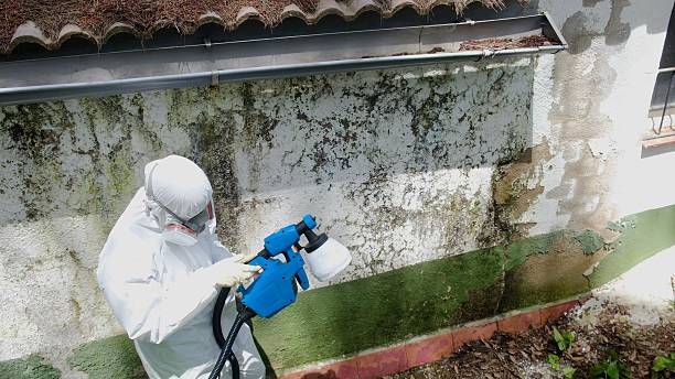 Top rated local Mold Testing specialists in West Point, NY